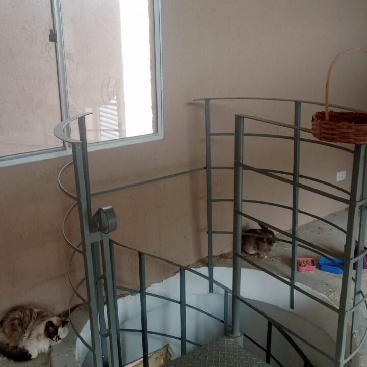 WhatsApp Image 2024-03-06 at 13.48.26 (2)