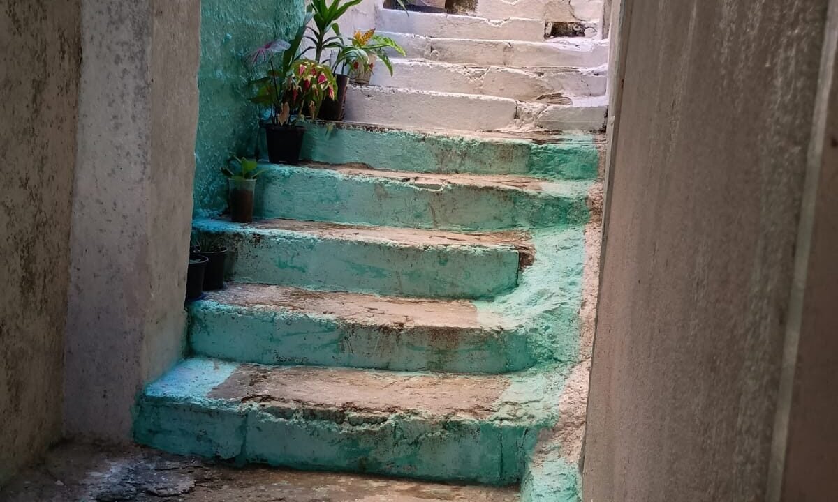 WhatsApp Image 2025-10-03 at 11.01.07