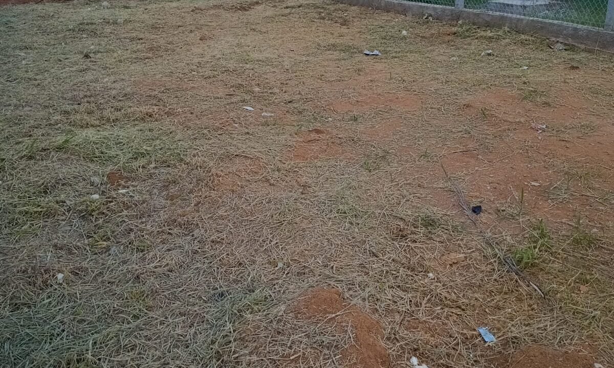 WhatsApp Image 2025-11-18 at 14.09.22