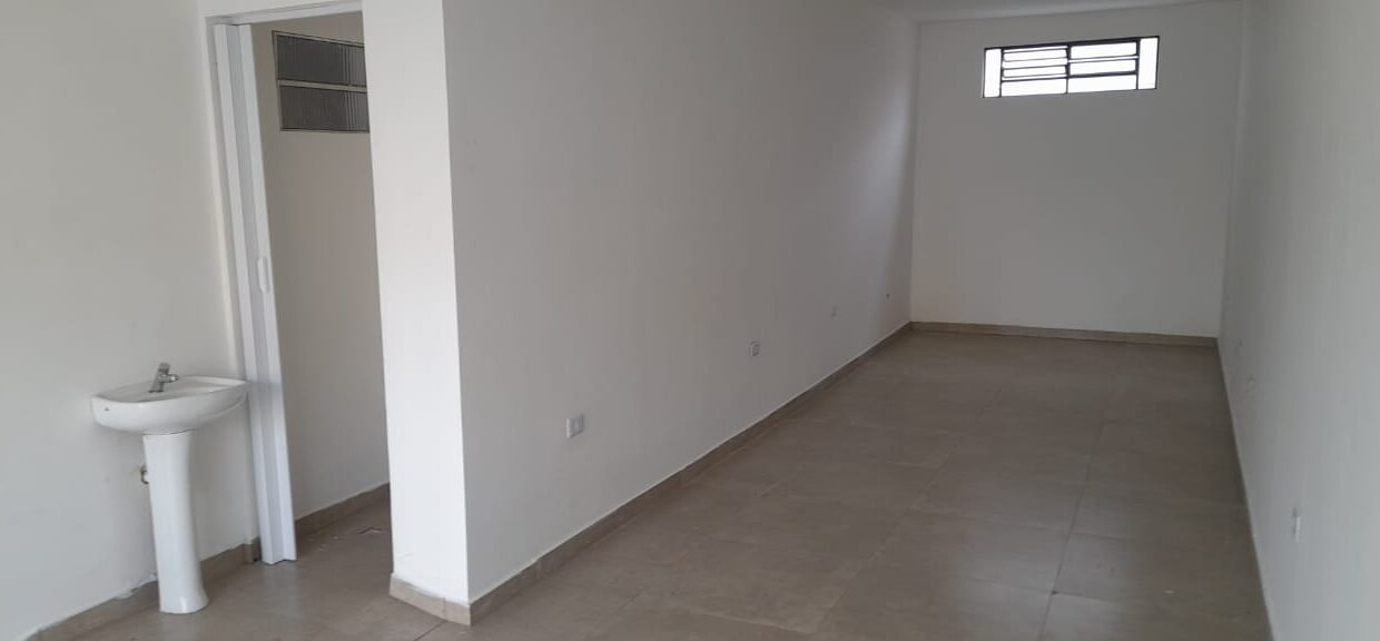 WhatsApp Image 2026-02-11 at 11.23.19