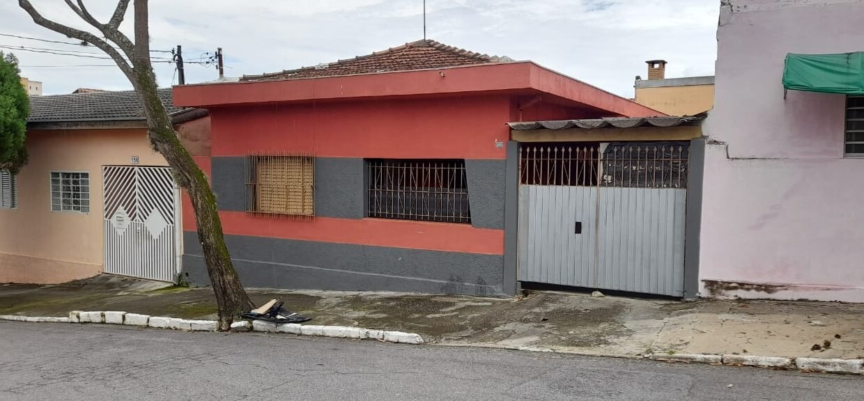 WhatsApp Image 2026-02-12 at 08.51.54