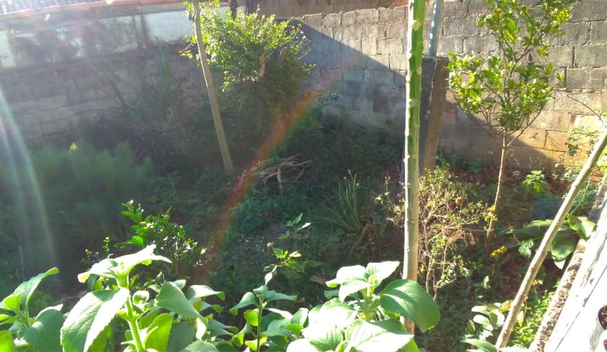 WhatsApp Image 2026-09-04 at 13.52.58